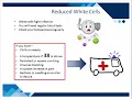 Mater Cancer Care Centre patient chemotherapy education Mater Health 2018