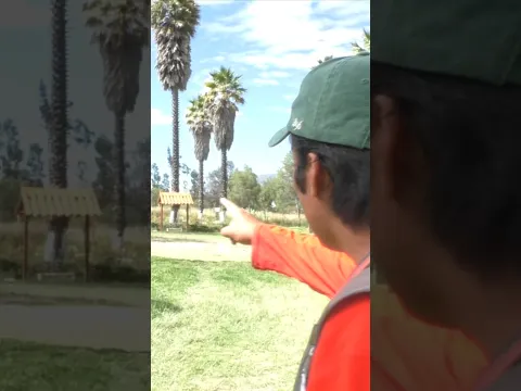 Estas Cuatro Palmeras Desafiaron al Huascarán y No Cayeron
