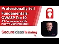 Professionally Evil Fundamentals OWASP Top 10 A9 Components with Known Vulnerabilities