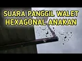 Download Lagu SUARA PANGGIL WALET - HEXAGONAL ANAKAN