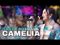 Download Lagu PENONTON HISTERISS !! TASYA ROSMALA - CAMELIA | SELIYA MARSELLA GROUP