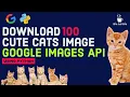 Download 100 Cat Images using Google API with Python
