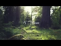 Download Lagu Denmark \u0026 Winter - Don't Fear The Reaper