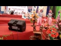 Download Lagu Juara 1 Sholawat turi-turi putih by jirjis