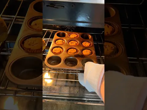 I made ￼ooey gooey double chocolate chip cookie ￼