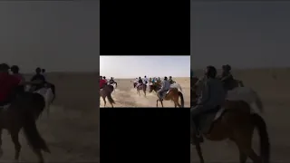 مجموعة خيول Fyp خيول خيل خيول لايك Fypシ Viral Foryou Exploer Doubleexposure 