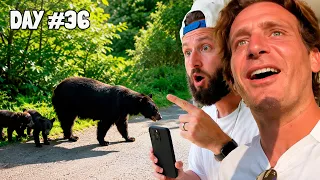 We Spotted a Mommy Bear! | Day 36 of 39 IN A STATE