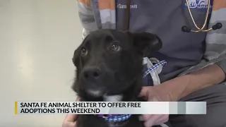 Santa Fe Animal Shelter offering free adoptions this weekend