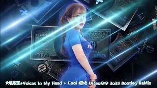  voices in my head cool djleo 2o25 bootleg remix