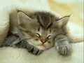 jose feliciano -cuando pienso en ti