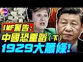 Lagu （下）IMF警告：中國畸形“世界工廠”，恐致1929年大蕭條重演！二戰後「世界工廠」美國，做了哪些事，開啟黃金30年？#真飛 #真觀點