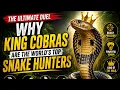 King Cobra vs Python The Ultimate Duel for Jungle Supremacy