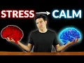 The Neuroscience of Stress 5 Strategies to Manage It