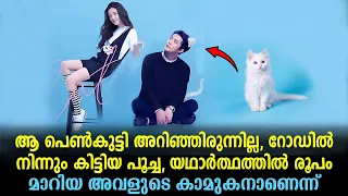catman explained in malayalam chinese movie malayalam explained movies