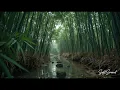 Whispers of the East | A Journey Through Romantic Guqin & Flute Melodies
