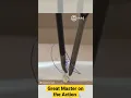 Great Master on the Action