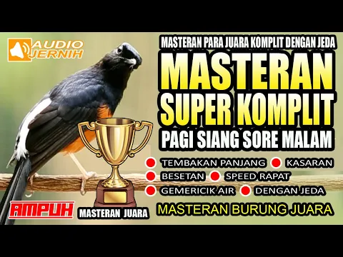 Download MP3 MASTERAN SUPER KOMPLIT!!! MURAI BATU JUARA LOMBA | masteran disetiap waktu | murai batu | shama bird