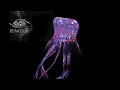 8D Bilateral Hypnosis Deep Sleep Music - Lucid Dreaming