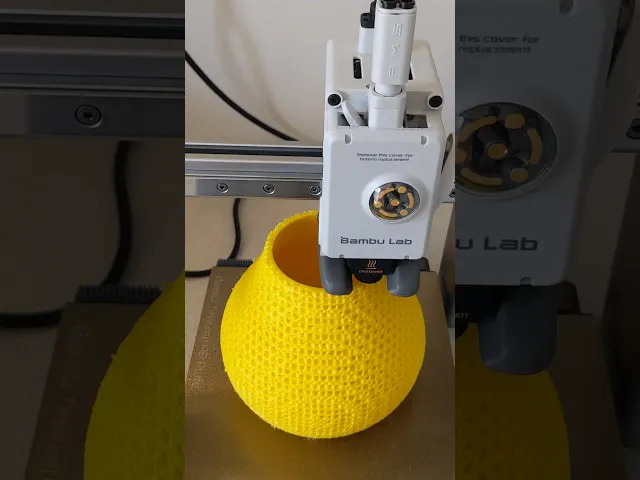FRD TPMS Lattice Vase video thumbnail