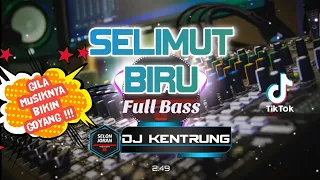 Download SELIMUT BIRU dj dangdut terbaru 2021 full bass MP3