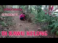 Download Lagu Kisah Nyata Di Rawu Kelong Wewe