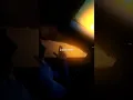 Download Lagu Animals X Starboy (Slowed to Perfection) (TikTok Remix) - Tommymuzzic \u0026 Zeddmusique (Lyrics) #shorts