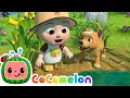 Download Lagu Down by the Pond | CoComelon Nursery Rhymes \u0026 Kids Songs
