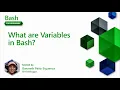 What are Variables in Bash 14 of 20 Bash for Beginners