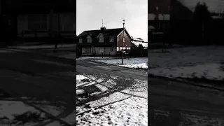 فيروز وحدن بيبقوا مع رسم صورة فيروز وبياض الثلج 