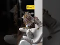 Download Lagu Rising 10'000 Bees 🐝🌻😱(Part 2 )#bee #bees #shahed #honey #viralvideo #breedingpair #beesbreeding