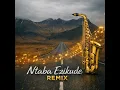 Ntaba Ezikude (Amapiano Remix)