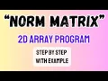 Learn 2D Array Norm Program in Minutes Norms of Matrix