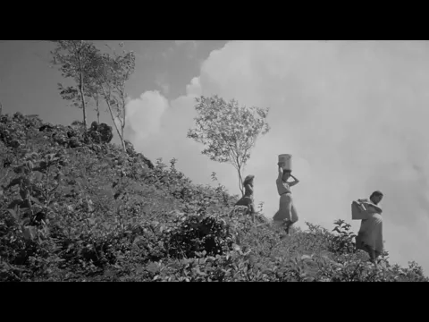 Todo Parecía Posible – trailer | IFFR 2025