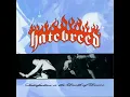 Download Lagu Hatebreed - Satisfaction Is The Death Of Desire LP
