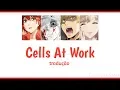Opening - Cells At Work! | Tradução
