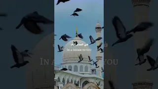 ماهر زين قلبي في المدينه بدون ايقاع ترند اكسبلور Explore تصميمي بدون ايقاع 