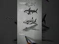 how to draw a shark ArtwithBir - 9