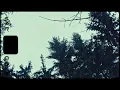 EMBRZ - Stay