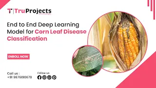 End to End Deep Learning Model for Corn Leaf Disease Classification