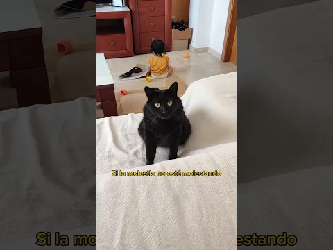Si la molestia molesta, no la molestes