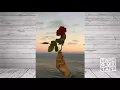 NEIL FRANCES - teardrops