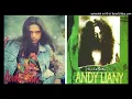 Download Lagu Andy Liany - Sanggupkah