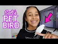 Cali GETS A PET BIRD CUTE REACTION