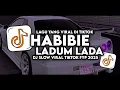 Download Lagu SLOW BASS !!! DJ HABIBIE × LADUM LADUM LADA TERBARU 2025 (SLOW BASS)