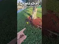 Tech Tip How To Find A Leak