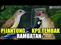 Download Lagu PIJANTUNG | RAMBATAN | KAPAS TEMBAK