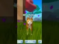 Download Lagu Feather family, has a cat for April fool's.