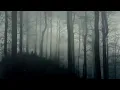Download Lagu Dark Ambience   Horror Background Music 10 Hours