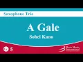 Download Lagu A Gale - Saxophone Trio by Sohei Kano