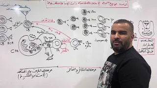 الاستجابة المناعية المكتسبة ذات الوساطة الخلطية باكالوريا علوم الطبيعة والحياة دندنها